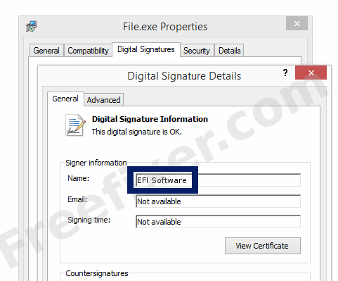 Screenshot of the EFI Software certificate